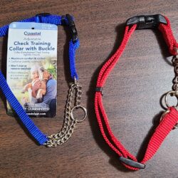 Martingale Collars