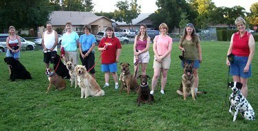 advancedObedience1 Dog Training & Dog Boarding in Stockton, CA