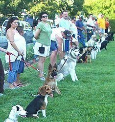 Basic Obedience Class