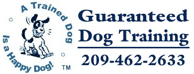 Guaranteed Dog Training