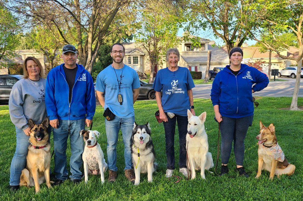 Team of Dog Trainers - April 2022 GDogTeamApril2022