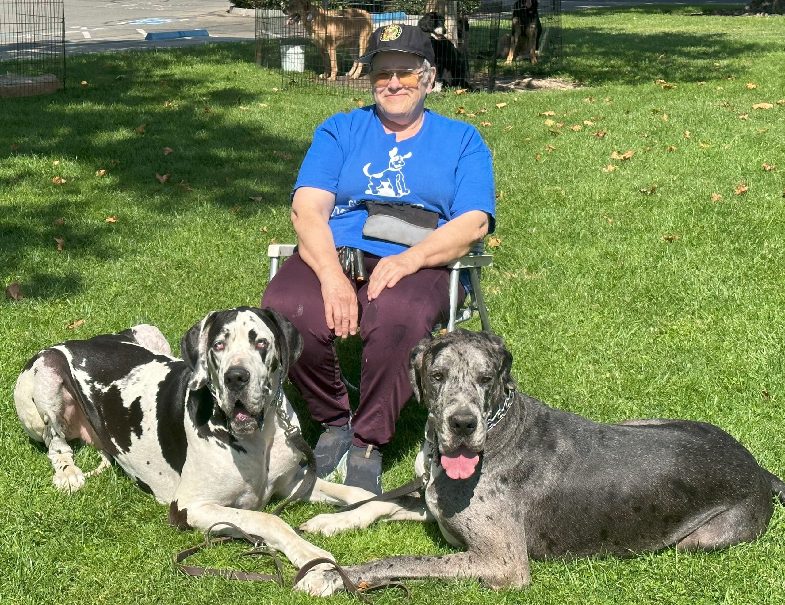Mary sitting with dogs 2