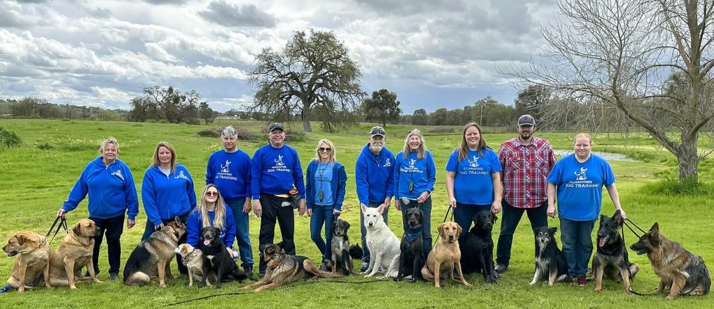 2024 Dog Training Team 2024 Dog Training Team